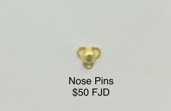 Nose Pin